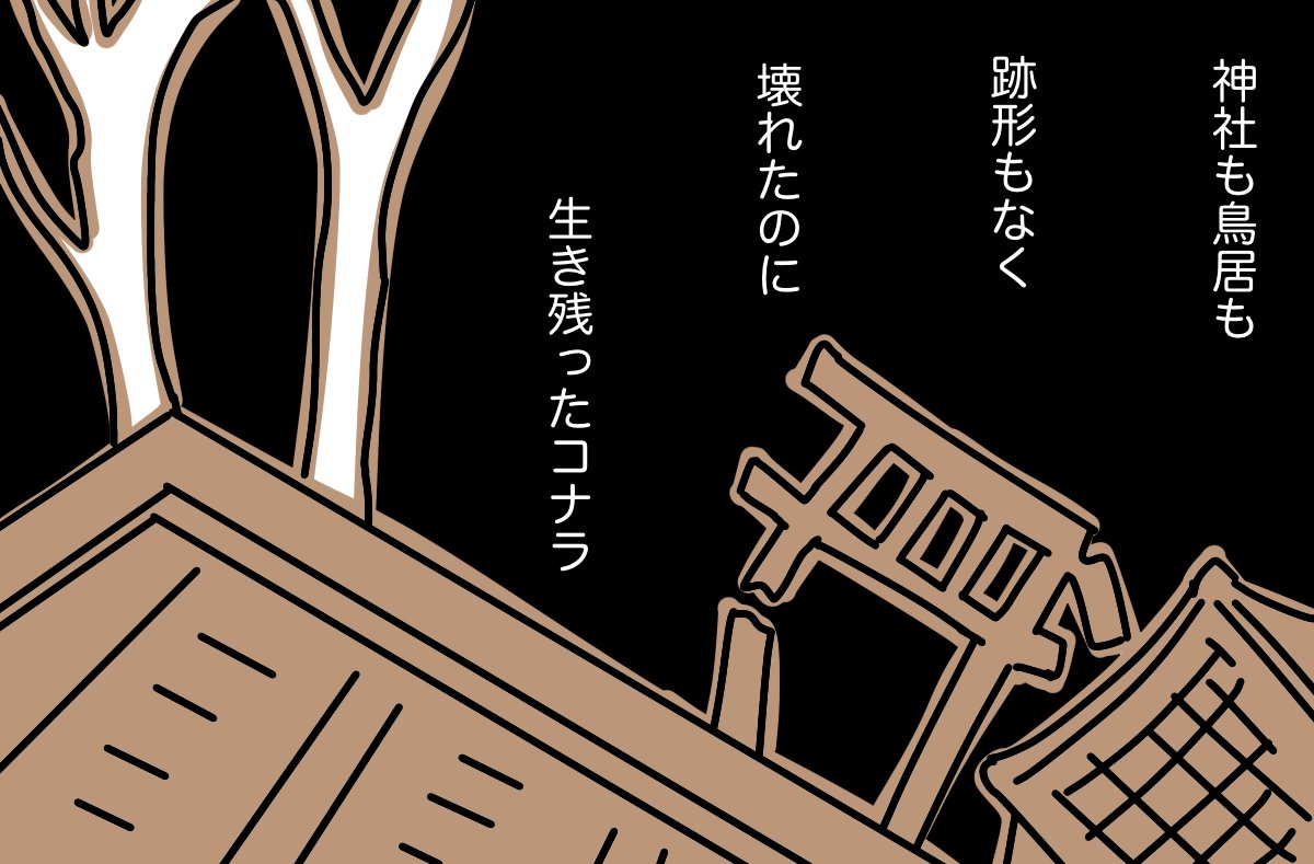 #どんぐり 04 