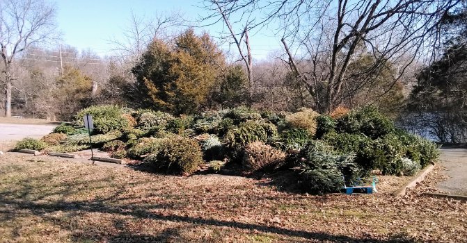 kyfisheriesc's tweet photo. #KDFWR appreciates all the participation in the "Christmas for the Fishes" habitat program  and wanted to remind everyone the this is the last weekend we are accepting Christmas trees at the drop off sites. #ThankYou https://t.co/9z1IIsGZV1