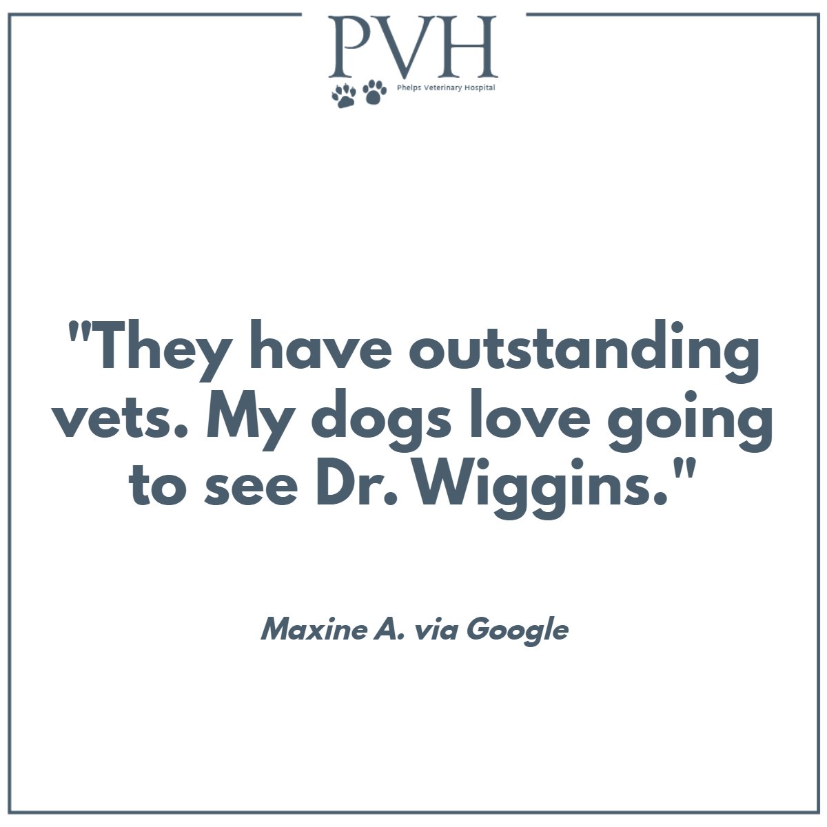 Phelps Veterinary Hospital tweet media