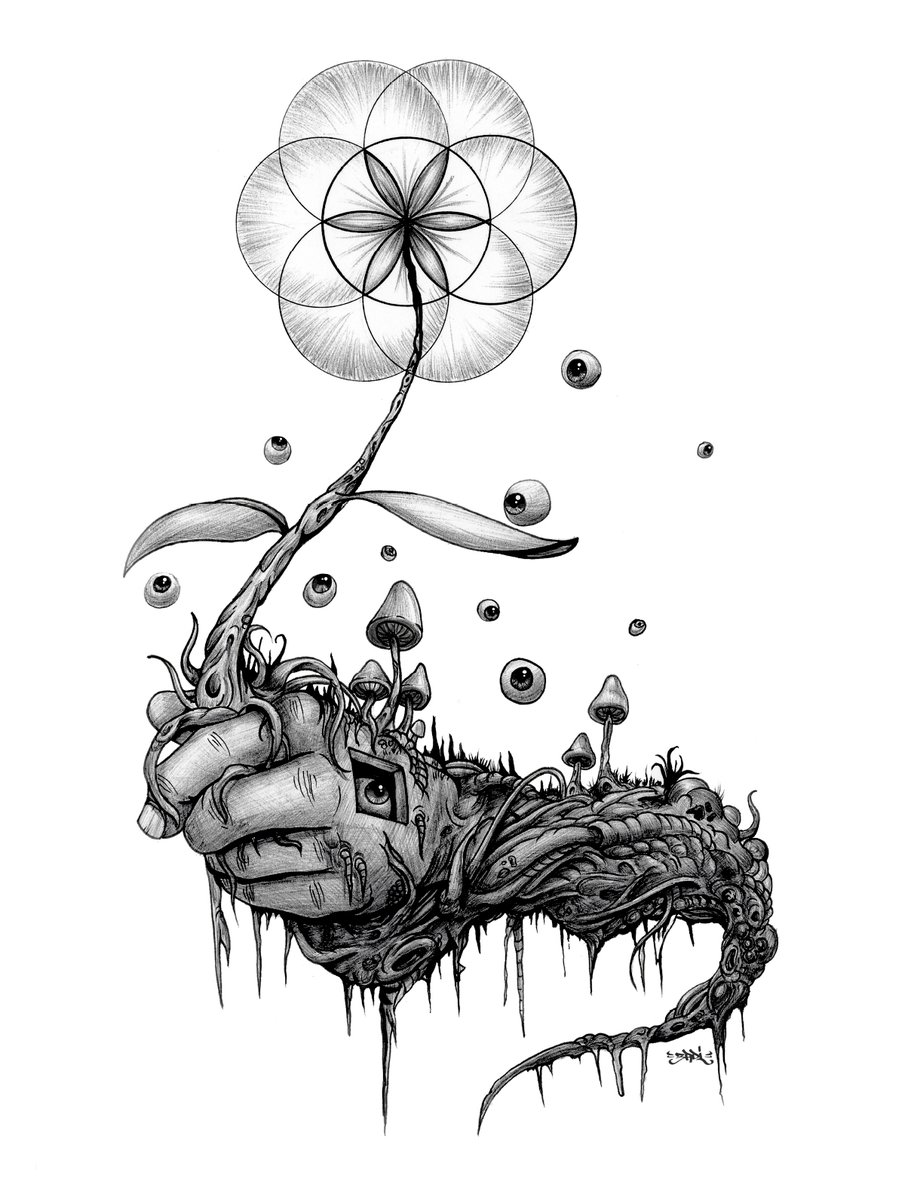 Eyevan 👁 tweet media