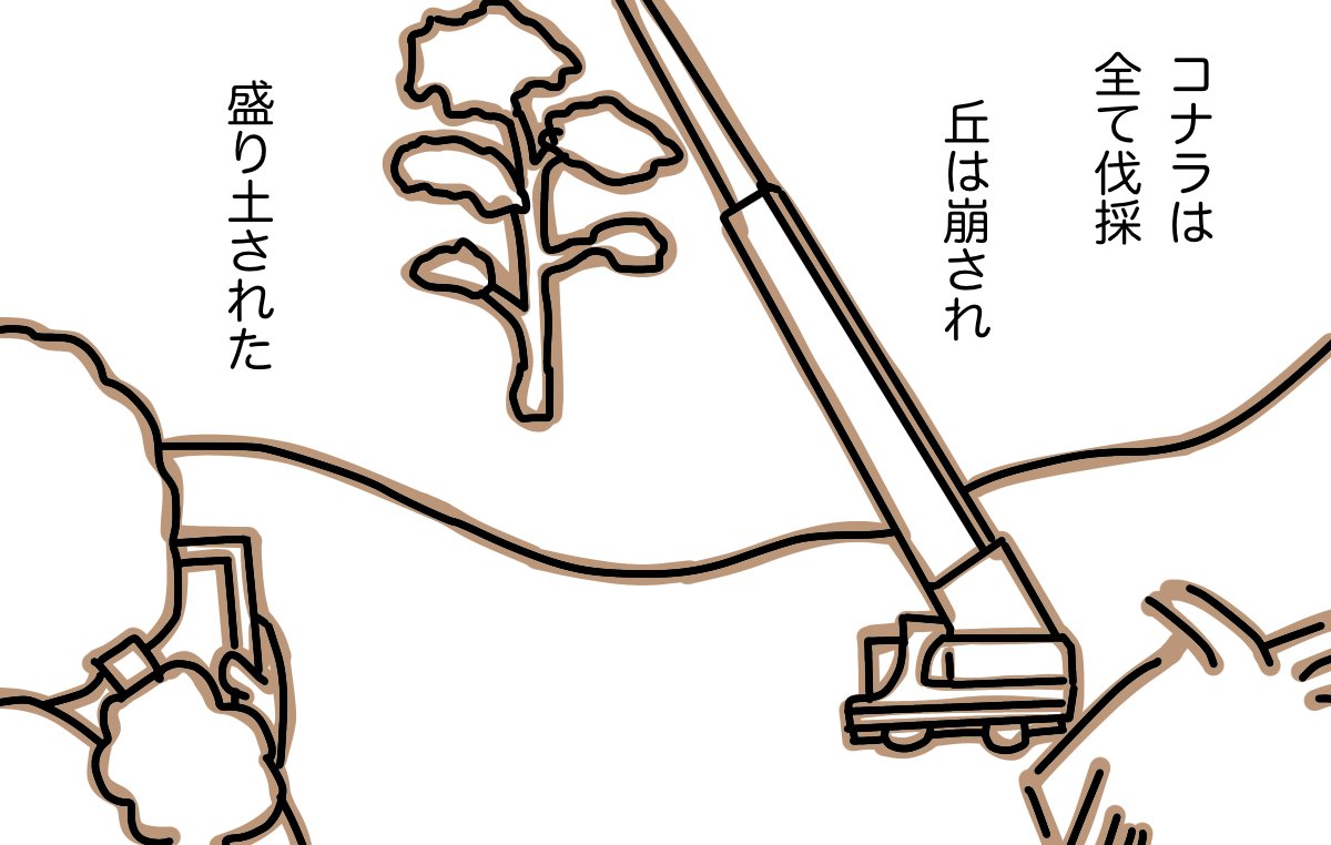 #どんぐり 20 