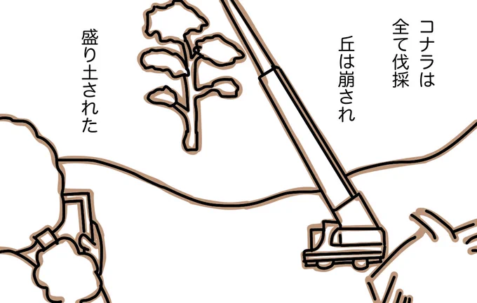 #どんぐり 20 