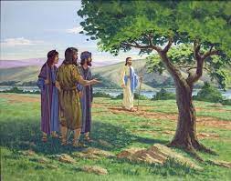 stpetersathlone's tweet photo. Newsletter January 15th 2023 (Second Sunday in Ordinary Time)... https://t.co/2JCqeZUMGd