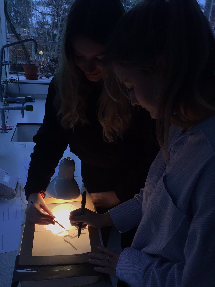 ExSchBio's tweet photo. Our @ExeterSchoolUK earthworms and woodlice got the chance to be the star of the show in our U6 taxis and kinesis investigations. They have been returned to the conservation area to enjoy a well deserved rest #GWITT #chatbiology #ASEChat https://t.co/csxgs2xISp