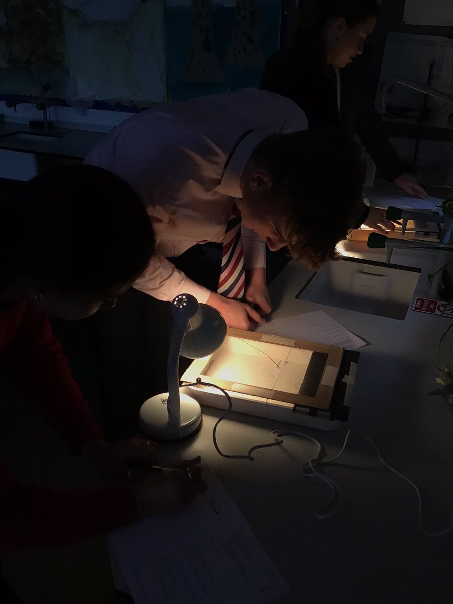 ExSchBio's tweet photo. Our @ExeterSchoolUK earthworms and woodlice got the chance to be the star of the show in our U6 taxis and kinesis investigations. They have been returned to the conservation area to enjoy a well deserved rest #GWITT #chatbiology #ASEChat https://t.co/csxgs2xISp