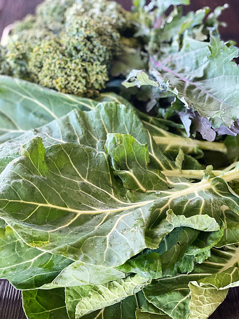 DallasFarmer's tweet photo. Thank you for supporting our local farmers no matter the season. - https://t.co/NATSFqom2I https://t.co/tbvojJkHwf