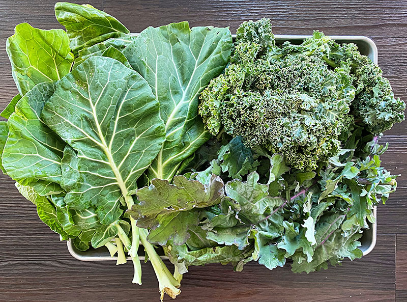 DallasFarmer's tweet photo. Thank you for supporting our local farmers no matter the season. - https://t.co/NATSFqom2I https://t.co/tbvojJkHwf