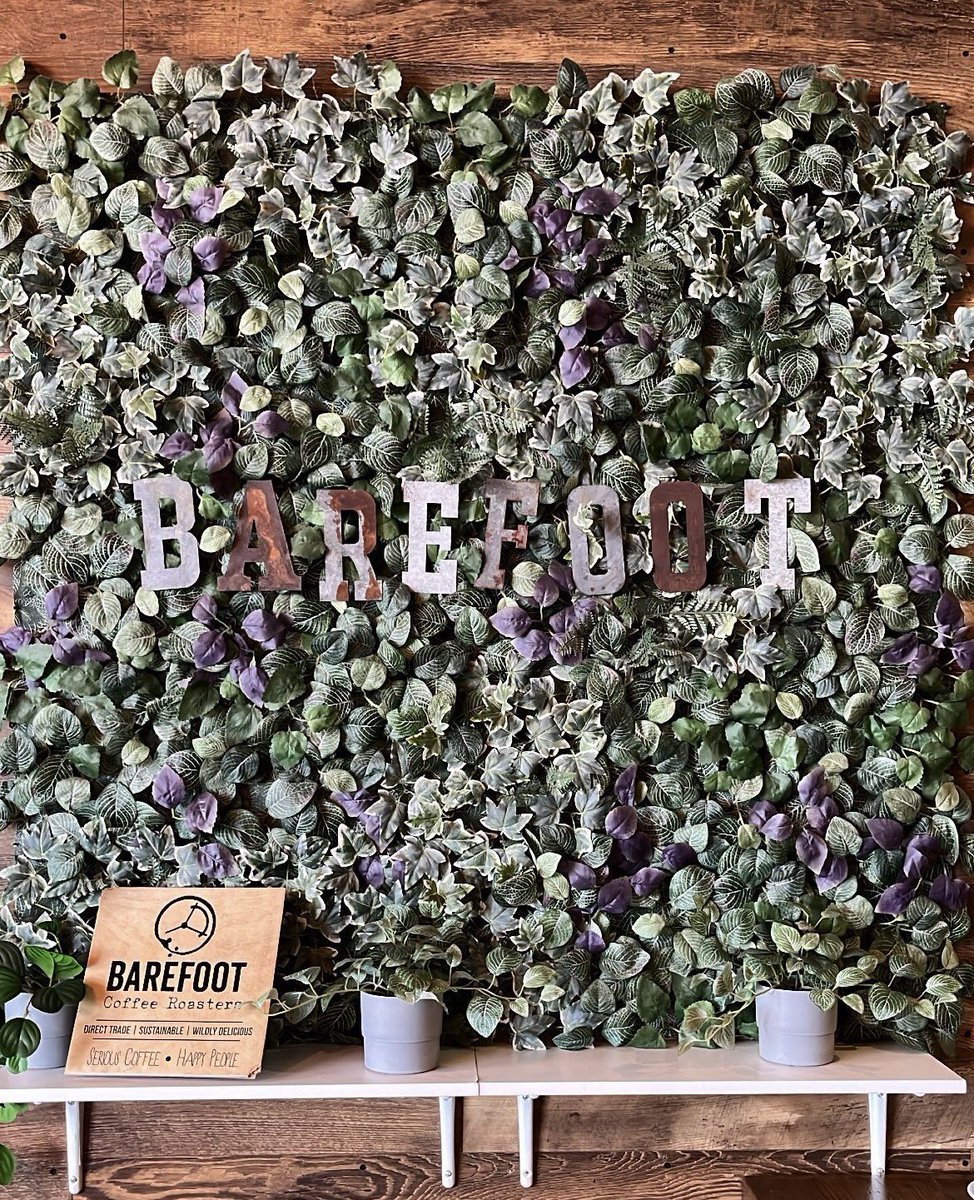 BarefootCoffee's tweet photo. Happy Friday! 

@bfootcampbell https://t.co/uuAXcbOa9M