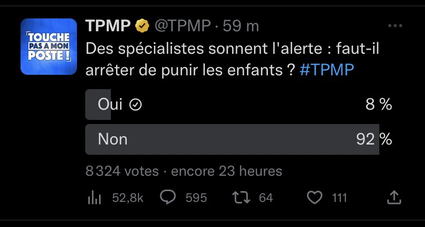 TataXN's tweet image. Ça parle de violences faites sur les enfants dans @TPMP 
Et hop un sondage biaisé -punir/violences ?- 
« faut-il arrêter de punir les enfants ? »

Le résultat est horrible. 
#Afida