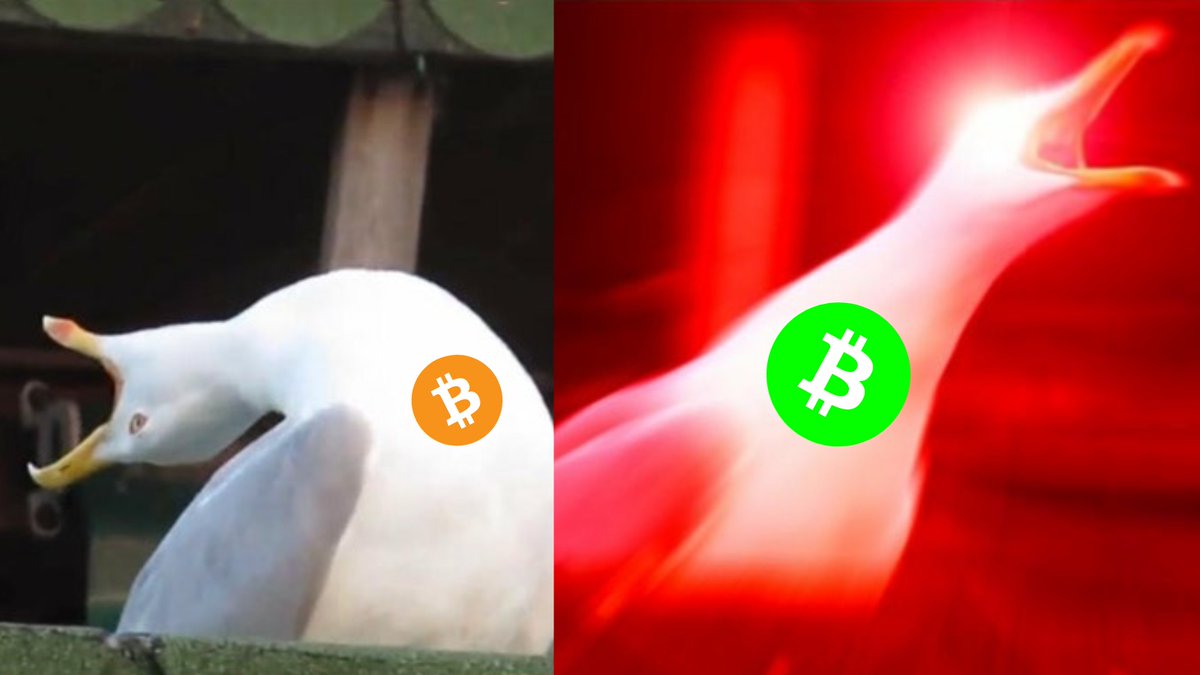 Inversores de Bitcoin esta semana: