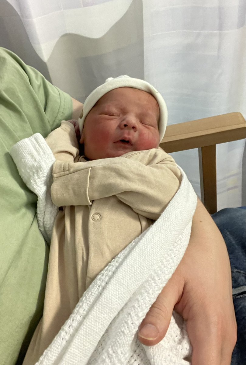 Nicholas McGee tweet media