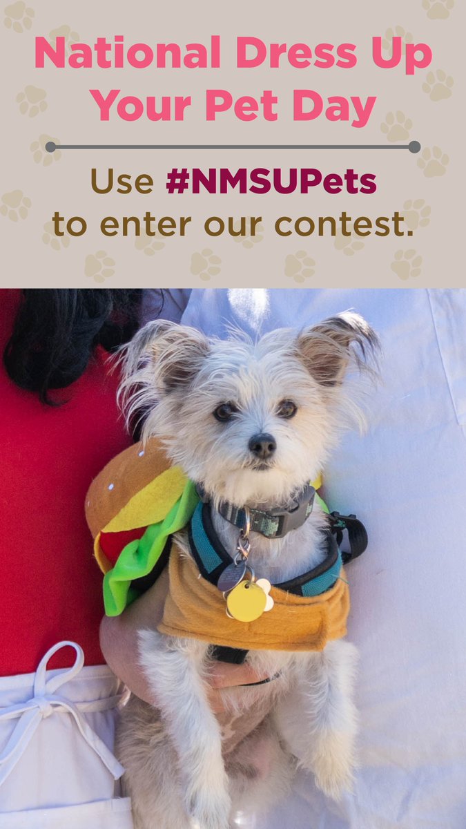 nmsu's tweet photo. Today is National Dress Up Your Pet Day! So, grab their favorite costume or Aggie gear, snap a picture and share it using #NMSUPets ๐ถ ๐น ๐ฑ https://t.co/kgborlRKbz
