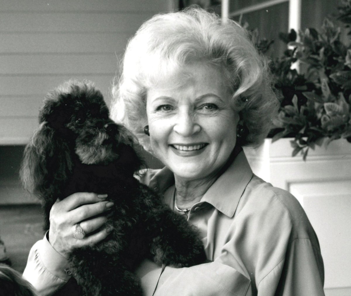 Did you know #BettyWhite personally funded more than 30 studies at Morris Animal Foundation? Join us as we pay tribute to an incredible champion for animals and reflect on the impact her work continues to have today: maf.link/BettyWhite23