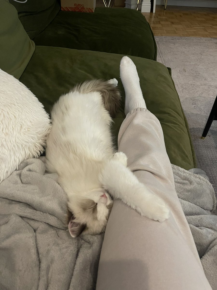 Nikki Blackketter tweet media