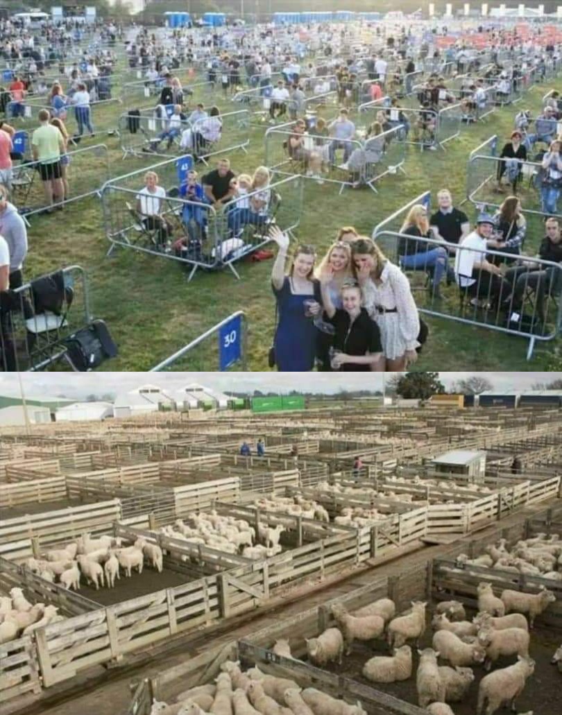 Never forget what they did in the name of science