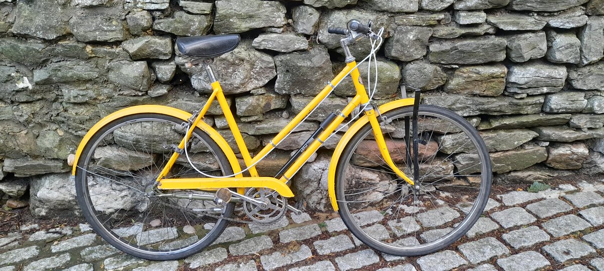 The owner brought this 1970's bike with problems with the Sturmer Archer hub to us. Other bike shops said they couldn't help. We stripped the hub replaced worn parts and it's now working like new.