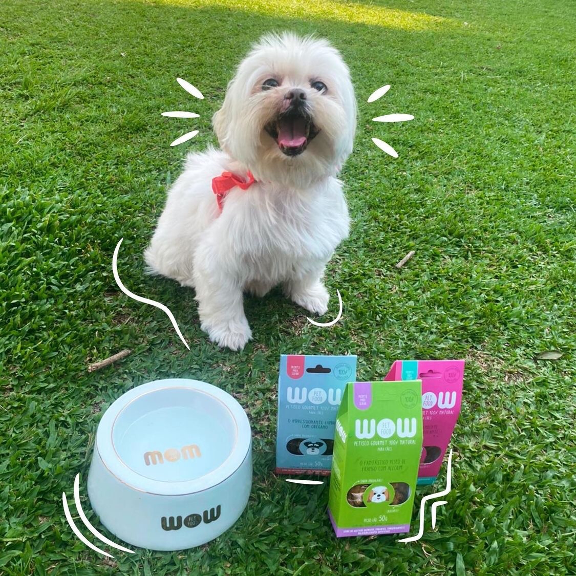 GiroilAlimentos's tweet photo. AU-AU 🐶 Dá a patinha, deita e rola, olha a minha COMIDA NATURAL! 😋 Com ÓLEO DE GIRASSOL &amp; LINHAÇA DOURADA 🌻🌱Extra Virgem e 100% Natural 👊 Fornecimento GRANEL e FOOD SERVICE à indústrias do Brasil 🇧🇷🌻 - https://t.co/njkFrOZRuO
#giroil #girassol #linhaça #foodservice #granel https://t.co/Eu7410SIiI