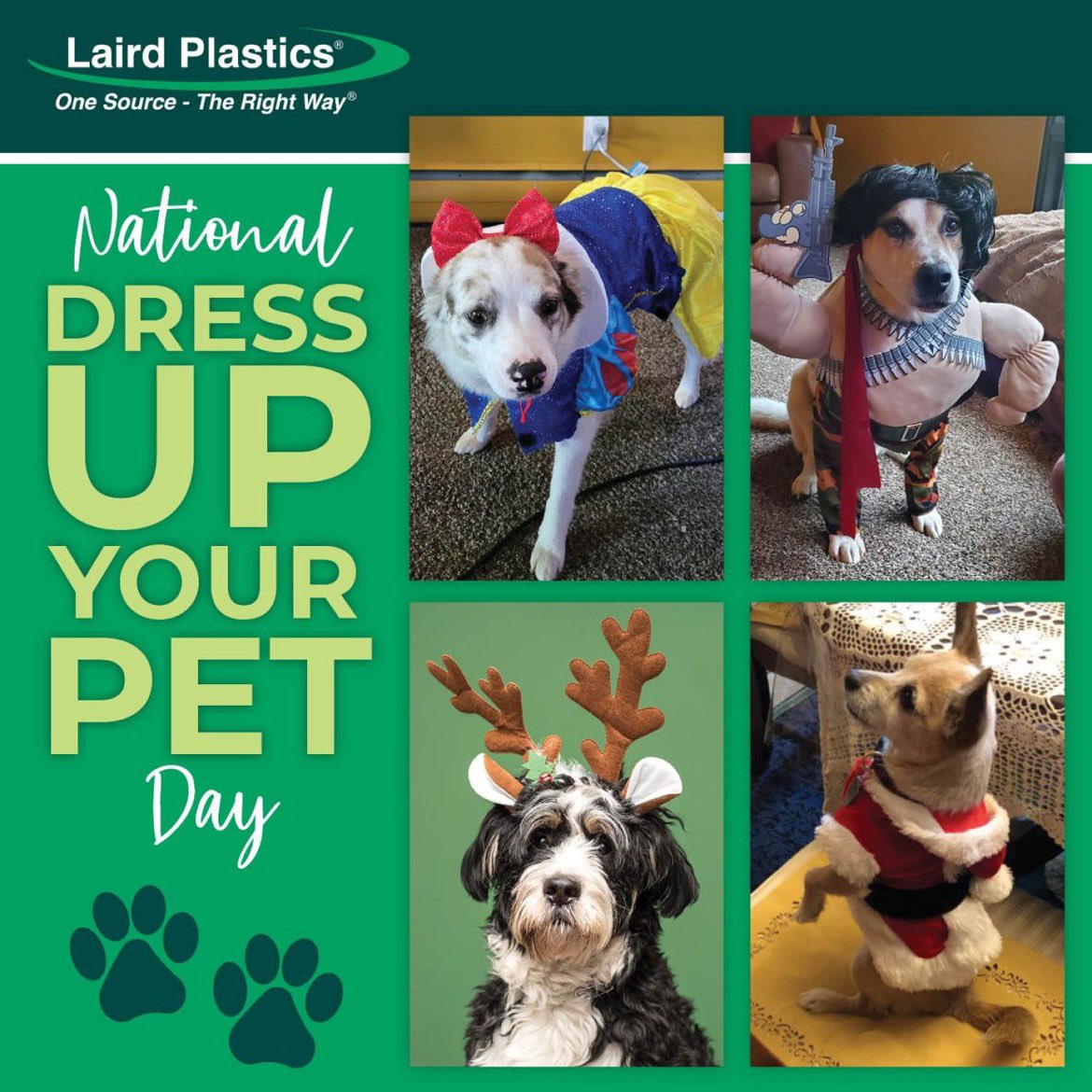 Laird_Plastics's tweet photo. Everyone, PAWS what you're doing and take a look at Laird Plastics' fashionable #furryfriends!  

This Saturday is #NationalDressUpYourPetDay, and the dogs of #LairdPlastics are in the spirit and wishing you all a great weekend of long walks and lots of treats! 🐾 

#Dogs https://t.co/w5CmWZu5ze