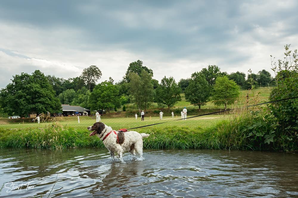 Abinger CC tweet media