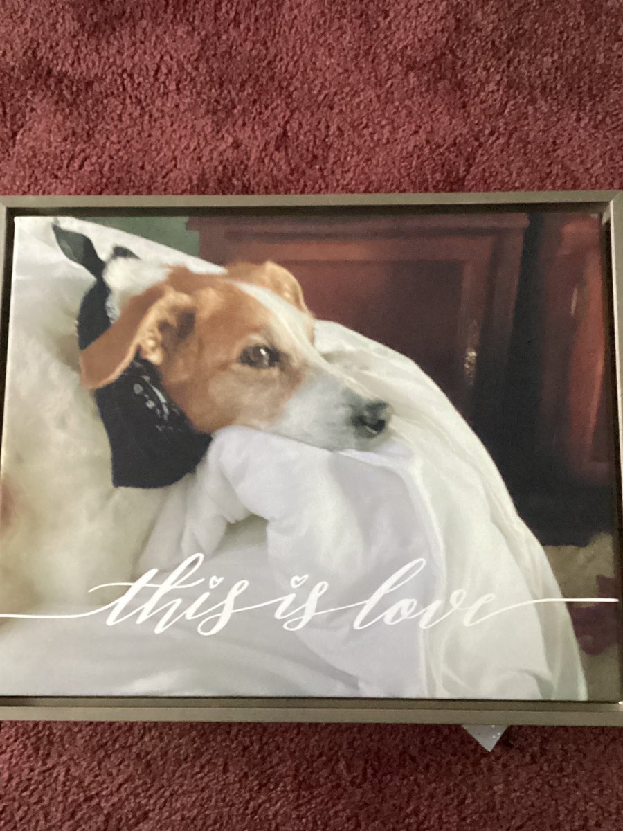 This afternoon my beautiful Bella crossed the bridge
She’s a rescue who was 10 weeks old and 72 hrs left to live 
In a kill shelter
woman named Star pulled her and my Jamie adopted her
We had 13 1/2 wonderful yrs with her
Our hearts are broken
But Love Remains💔🐾🐾💔🌈🙏🏻🙏🏻