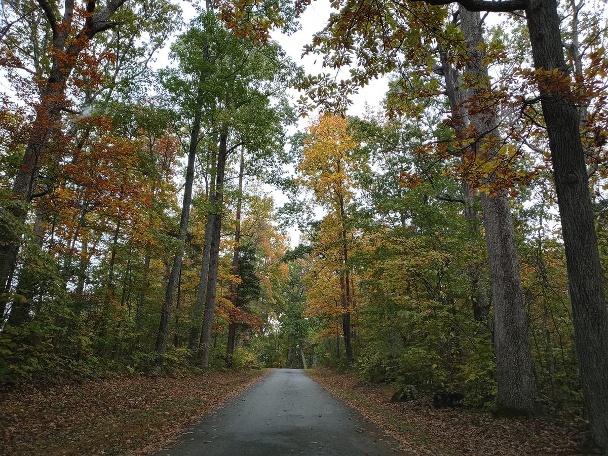 GburgMuseum's tweet photo. #SubmissionSaturday! Post a #Gettysburg photo taken by you, tag us or use #SeminaryRidgePhotos, and we may feature it on our social media! All featured will be entered into quarterly contests to win a Cupola/Museum package (photo op!) #SeminaryRidge #SRMEC
📸Renee Walker https://t.co/jHb7tmiTP6
