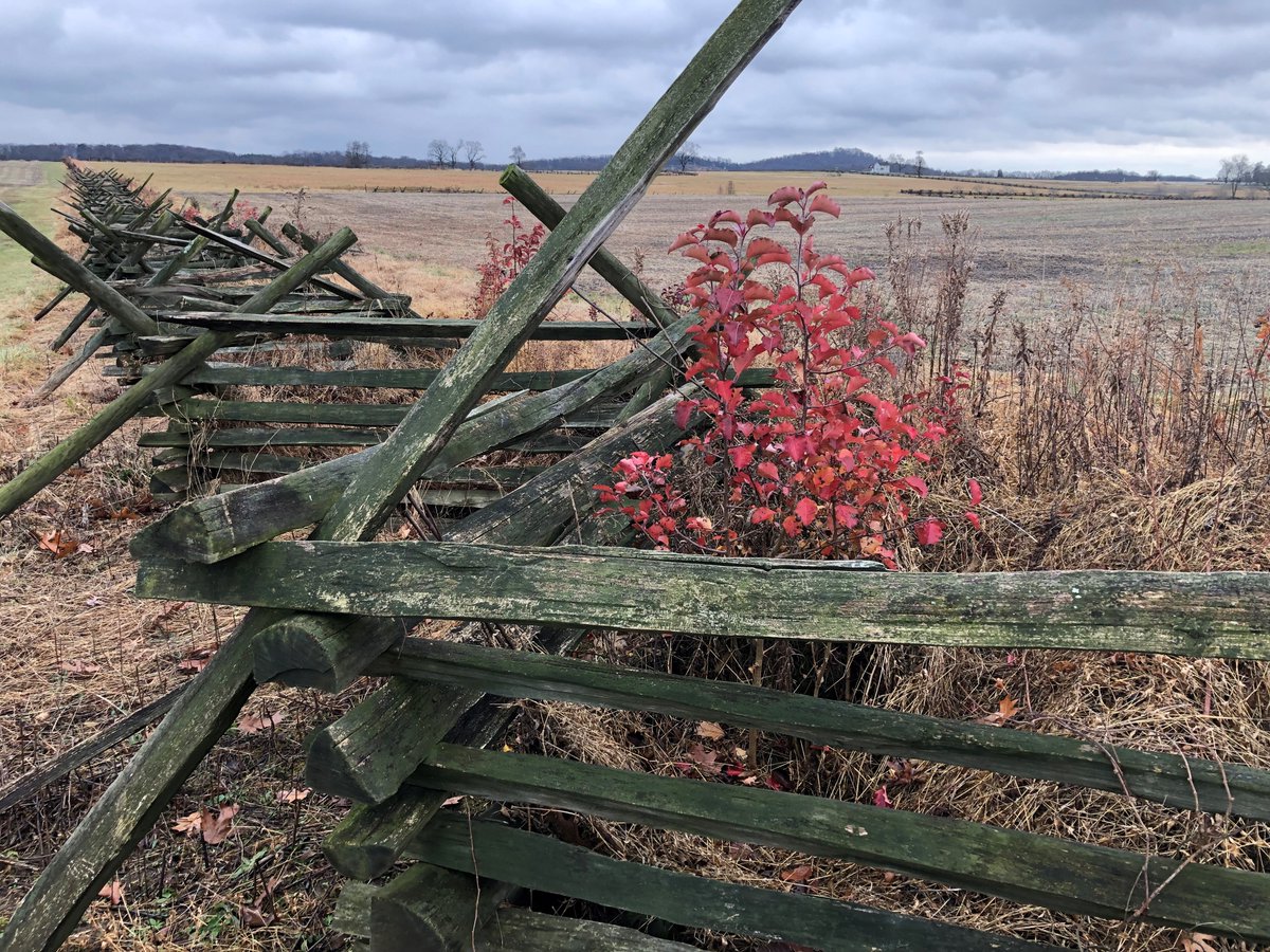 GburgMuseum's tweet photo. #SubmissionSunday! Post a #Gettysburg photo taken by you, tag us or use #SeminaryRidgePhotos, and we may feature it on our social media! All featured will be entered into quarterly contests to win a Cupola/Museum package (photo op!) #SeminaryRidge #SRMEC
📸Dawn Smith https://t.co/uMzrhoGVda