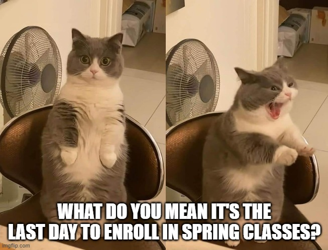 Don't forget: Today is the last day to enroll in spring classes!

If you are interested in deferring your spring application to a later term, please email recruitment@utrgv.edu. 

#UTRGVGoingOrange