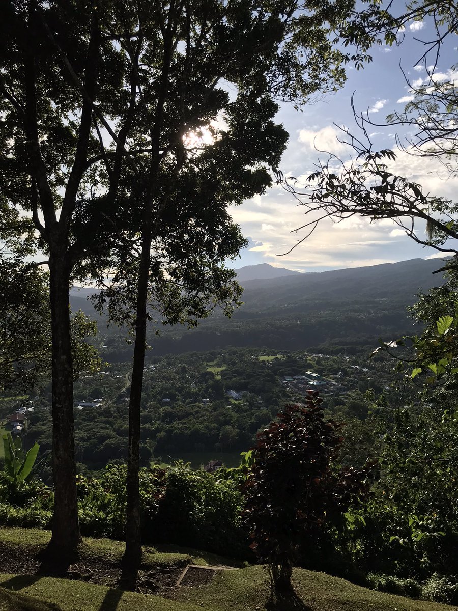 DavidWardUK2's tweet photo. Great to be back in Samoa after Christmas at home. And New Year means new fitness routine, so here’s the sunrise over Apia this morning from my first hike of the year up Mt Vaea. Still beautiful! https://t.co/1LgjFpjarl
