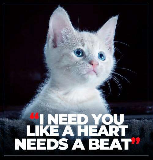 When I say I love you more, I don’t mean I love you more than you love me. I mean I love you more than the bad days ahead of us, I love you more than any fight we will ever have. I love you more than the distance between us, I love you more than any obstacle.