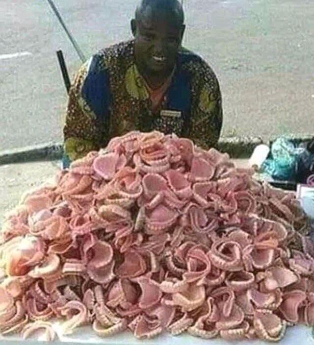CursedCreepy's tweet photo. #cursed #creepy #unnervingimages #dreadful #cursedimages #scary #creepyart #cursedimage #weirdcore https://t.co/cLuCGTmIvJ