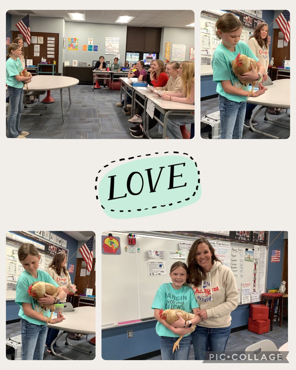 Thank you Callie and Liz for sharing your ISA Brown Hen with us today <a href="/ndeschargers/">North Elementary</a>! We learned so much about Mozzarella. We think she’s pretty cute too! ❤️🐔🥚 #BringAPetToSchoolDay #HanginWithMyChicks #MotherHen #IsaBrownHen #FarmLife #ndeschargers