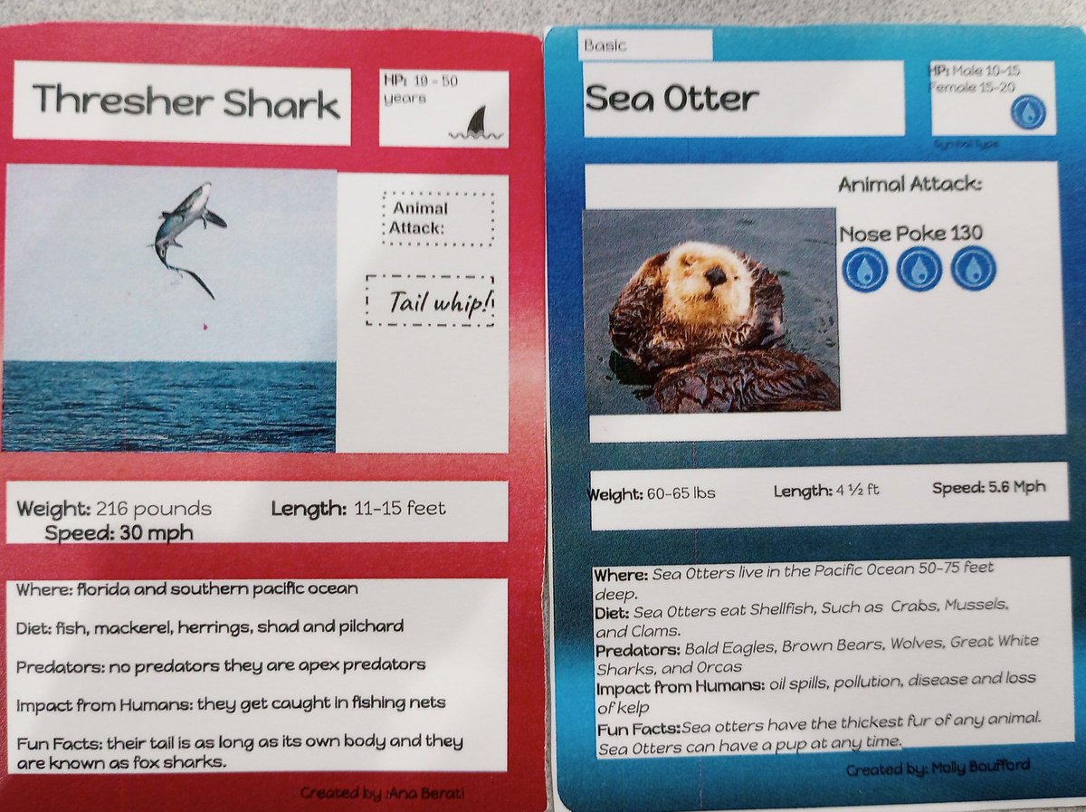 MrsZubarevLMC's tweet photo. Family 2 has been researching ocean animals and then typing their information into trading cards. 🐬🐠🦈This week they got their printed cards and got to show them off and trade them! They had so much fun! #WebsterLMC #WebsterWildcats🐾 #LivoniaPride https://t.co/km9kpALFCI