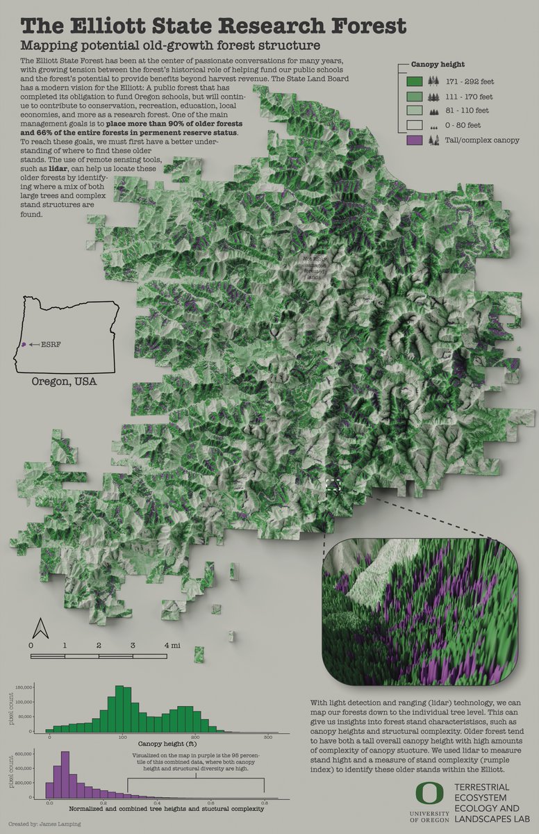 Sharing a recent map I made for a project in @uogeog Advanced Cartography! Processed the most recent lidar data from the Elliot State Research Forest, using rumple index to help identify where forest stands are both tall and structurally complex. 
#lidar #blender #gis #forests