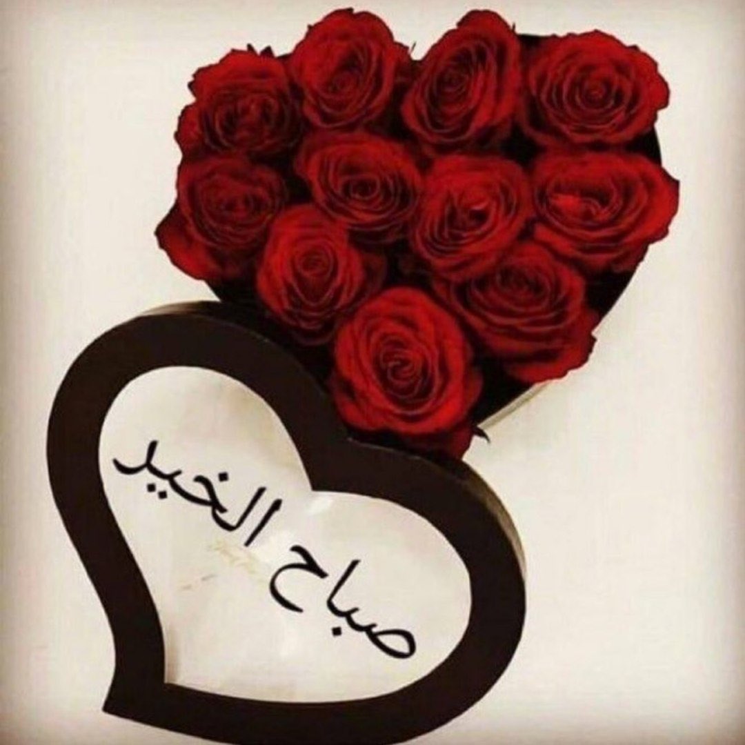 صباح يكسوه طقسُ الشتاء و رائحةُ المطر و لفحاتُ الهواء البارد التي تُجدد أنفاسنا وتنعش أرواحنا اللَّهُم طمأنينة ونوراً يمكثان بقلوبنا، اللَّهُم أزهر على ضفاف صدورنا كل خير ..
صباح الخير🌤