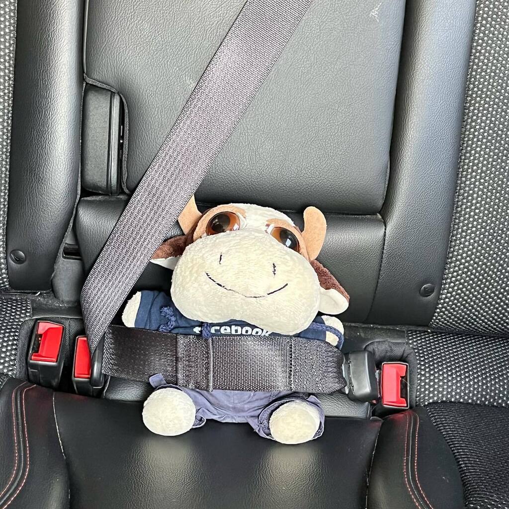 Throwback to my road trip to Seattle in September! Looking forward to going back next month! #plushiemodelsmonday #marlowmoo #moo #stuffedanimals #stuffedanimalsofinstagram #stuffies #stuffiesofinstagram #cowsofinstagram instagr.am/p/CnXuCvEyMwR/