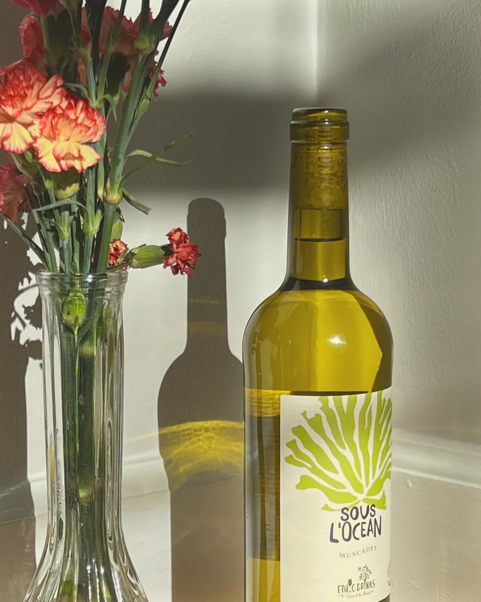 Trick your palate into thinking it's in the tropics 🏝️

With tasting notes of Citrus, White Flowers, Lemongrass, this 2020 Sous L'Ocean #Muscadet is a must.. especially during the winter when you'd rather be with your toes in the sand.

What makes it even better?

It's #vegan!