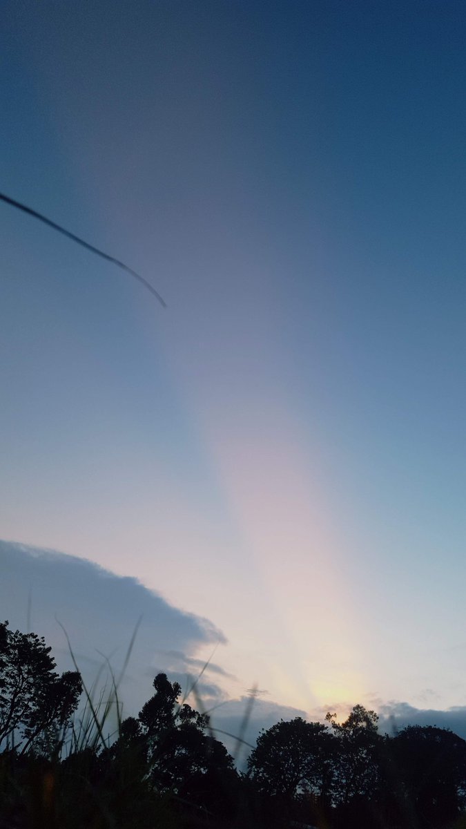 polarchito133's tweet photo. @ccssage Te regalo 4 especialmente escogidas de entre tantas q tengo 🥺 solo para ti https://t.co/RsNwhM3MXZ