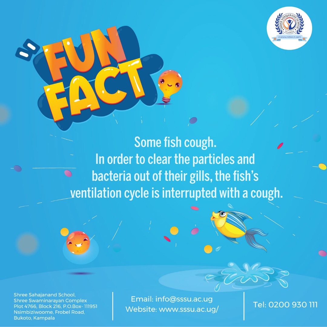 sssuganda's tweet image. If you thought that coughing was for human beings alone then probably didn&apos;t know about this interesting fun fact  about fish.

#FunFactWeekend
#ItIsTheWeekend