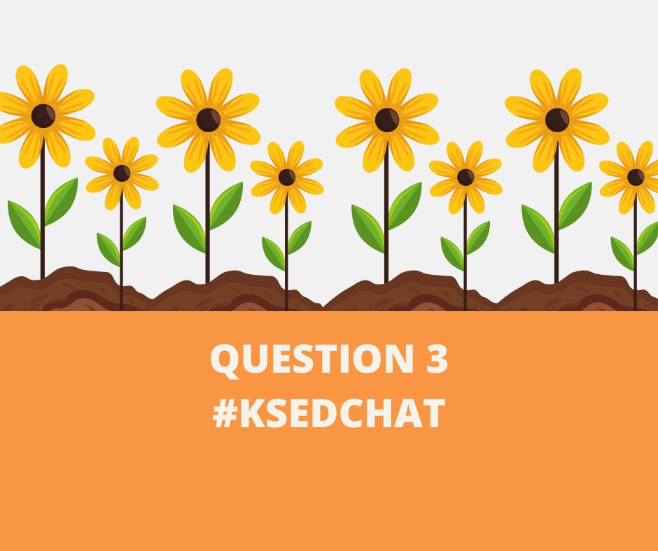 KSedchat tweet media