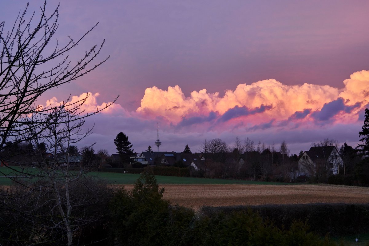 BuchTill's tweet photo. #Braunschweig #Geitelde Abendstimmung, vorgestern... https://t.co/rRVZDm0rl2