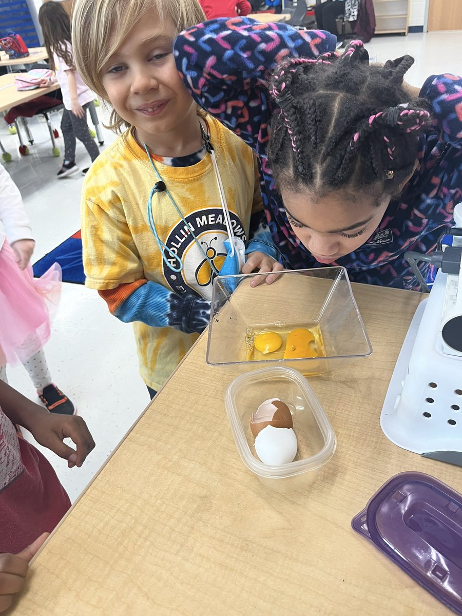 Ransom Rockets tweet media