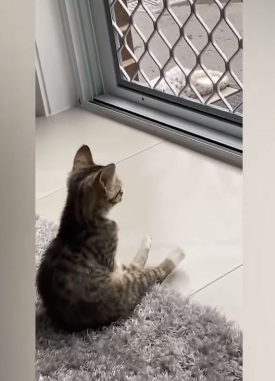 🌬Sama🫧🇵🇸♥️🇯🇴 on Twitter "Me waiting hours for AO3 to “be ready for