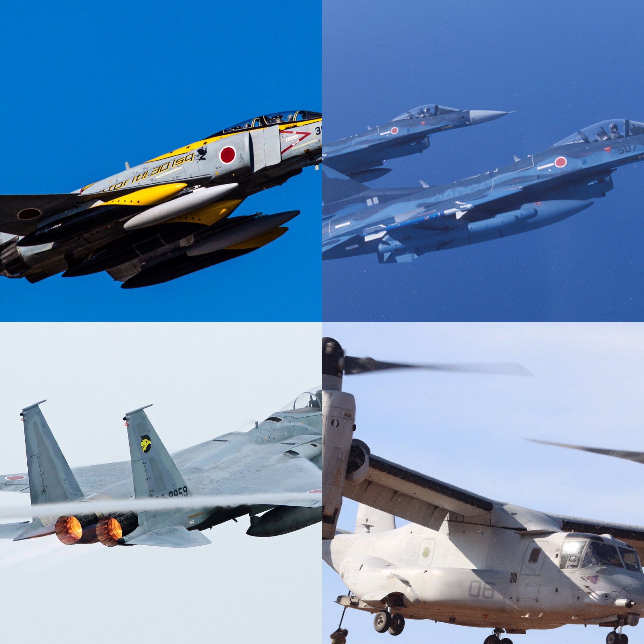 航空自衛隊 インド空軍 ワッペン パッチ（最新入荷 航空自衛隊