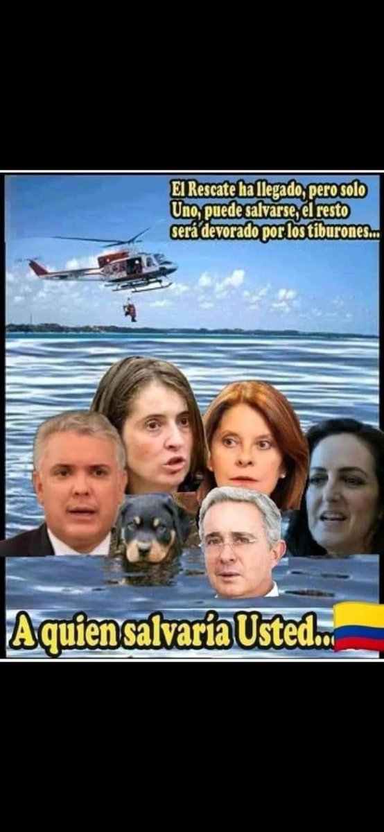 Billyelsanto tweet media