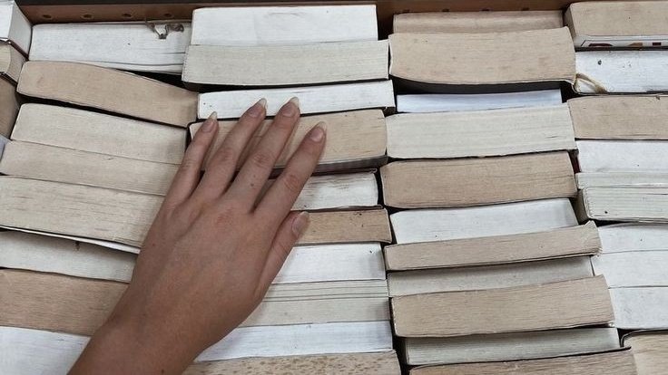 AcademiaDreams's tweet image. “You know you've read a good book when you turn the last page and feel a little as if you have lost a friend.”

— Paul Sweeney