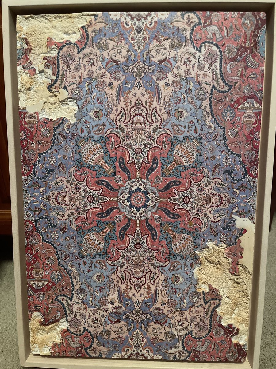 steffoms tweet media