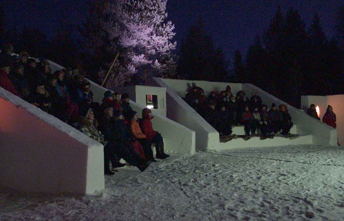 PolarQuest tweet media