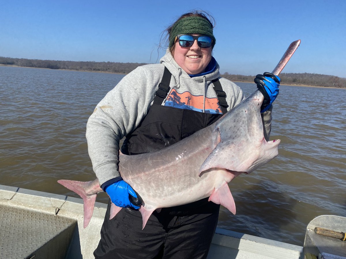 DirtyDog650's tweet photo. Well, that’s a wrap for #PaddlefishNetting. We ended on a fair weather day and ready for some rest. Thanks for following along with us. 
#HugAPaddlefish https://t.co/qd64pJ3WSg