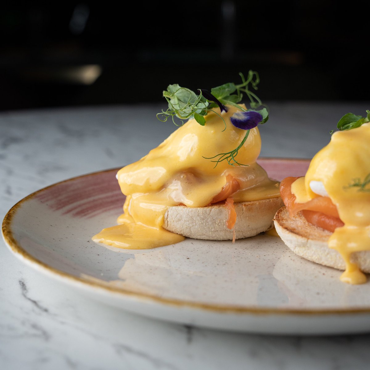 Hotel 1843 x Calico Bar & Eatery tweet media