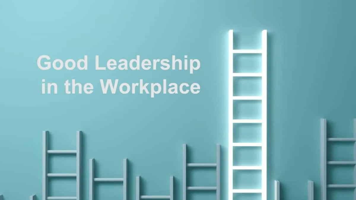 matt tenney tweet media